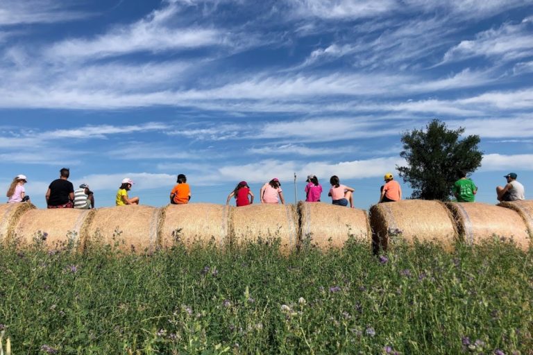 centro estivo anderlini