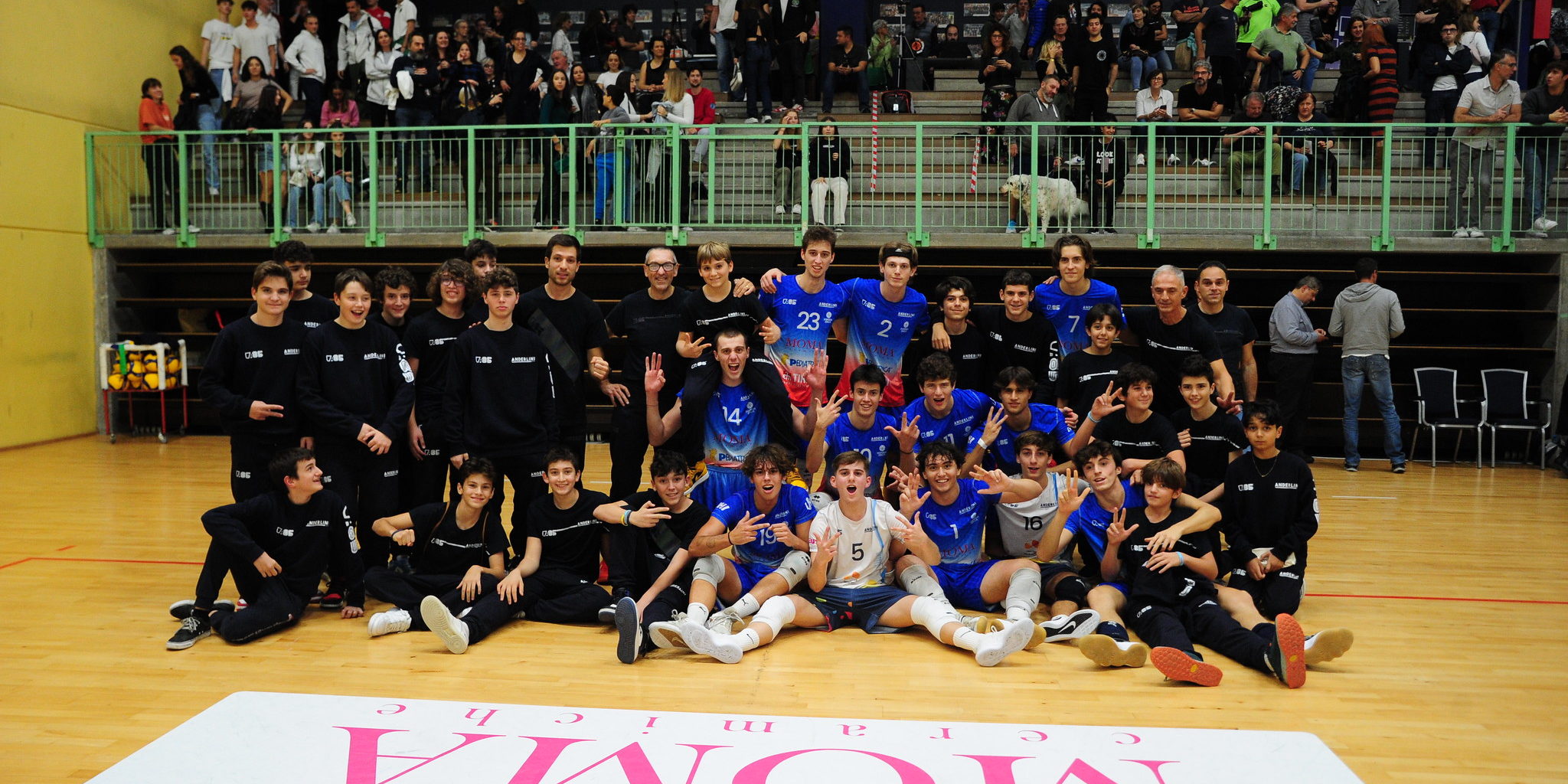 52467938950_d6a2a0b12f_k