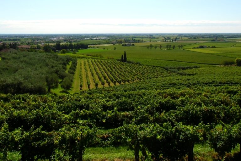 Susegana-cosa-vedere-dintorni-Treviso-2