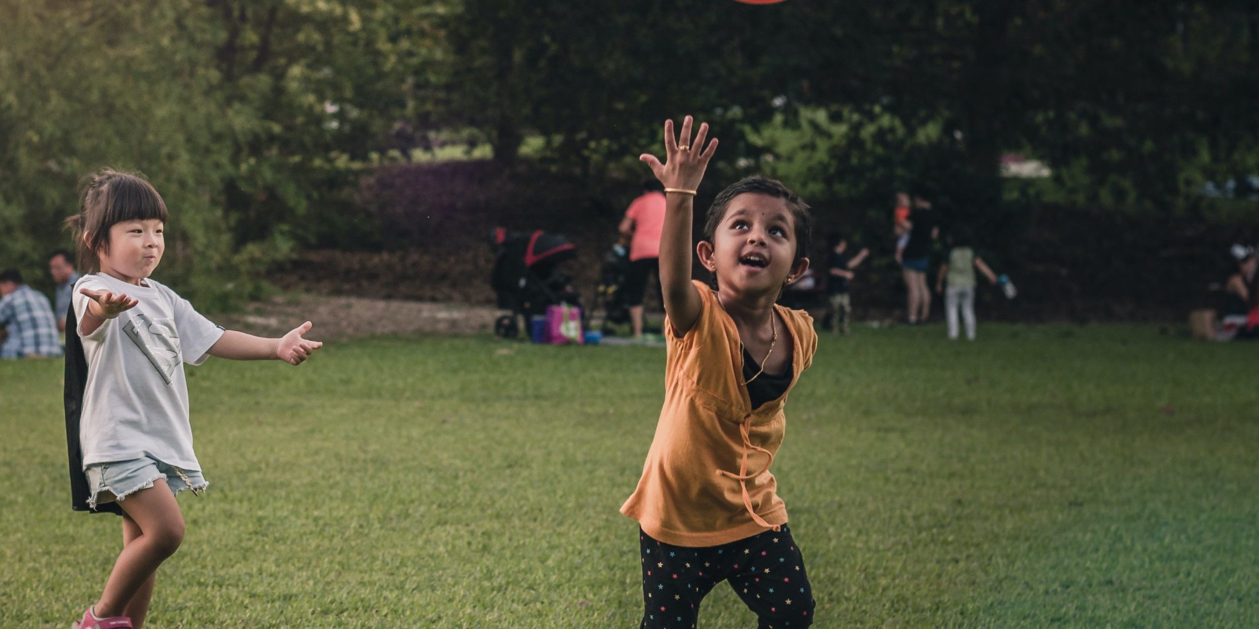 alaric-sim-0N4UJja6jEU-unsplash