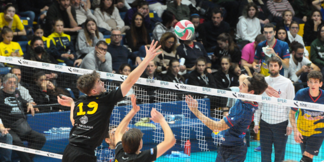 Copertina news sito (50)