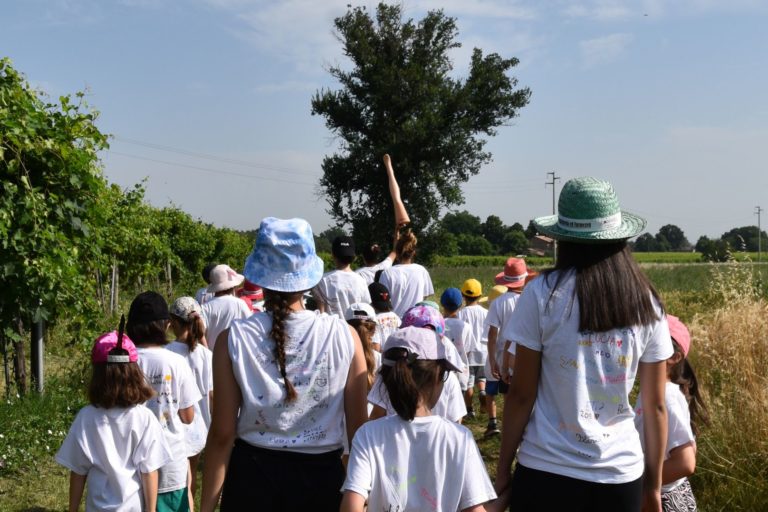 Copertina news sito (11)