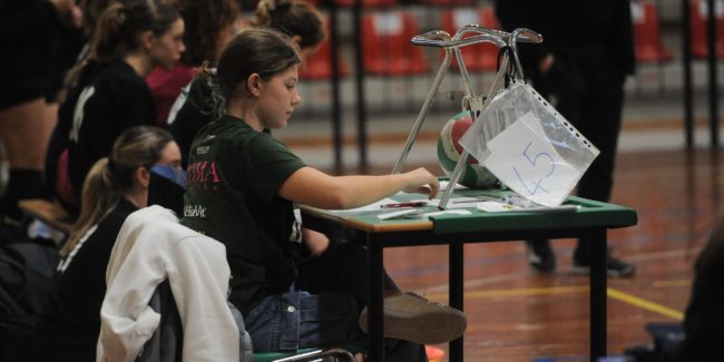 Copertina news sito (28)